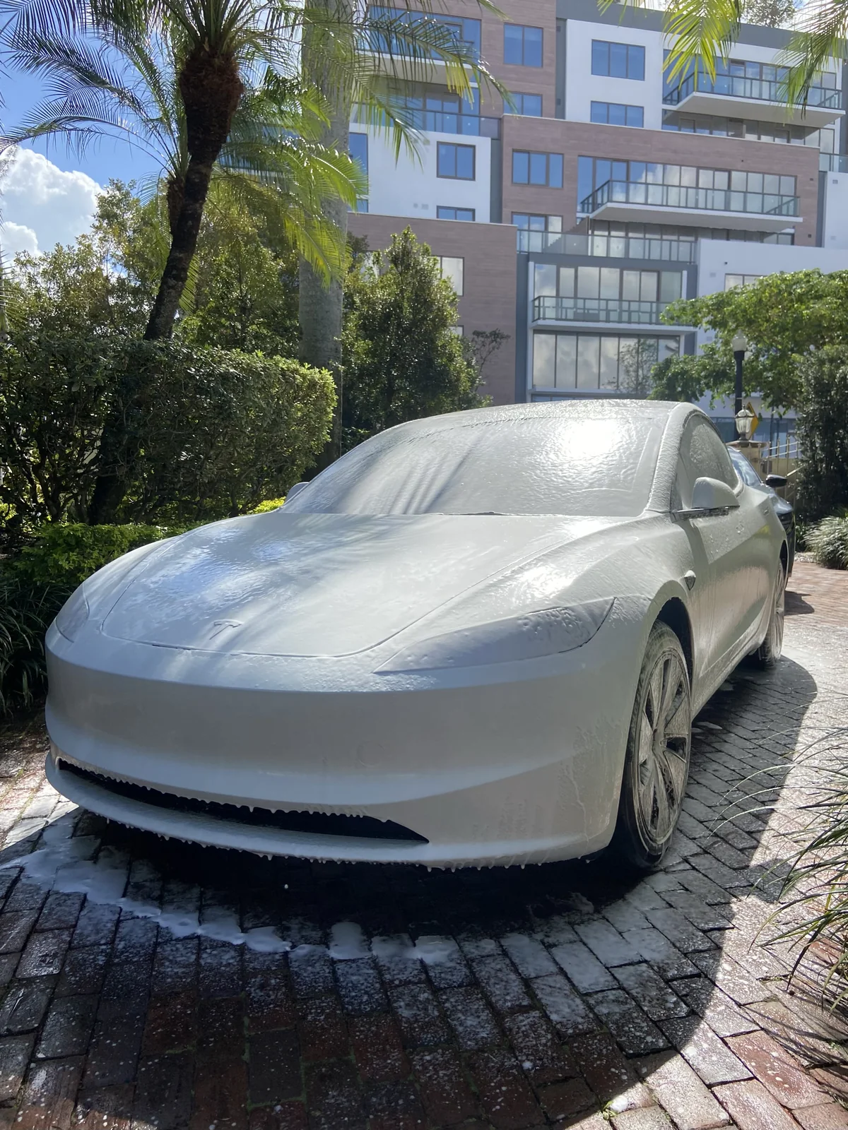 Foam Pre-Wash · Tesla Model 3