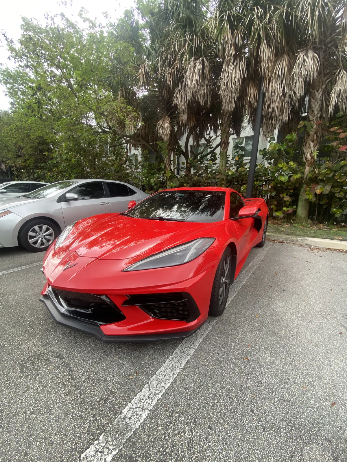 Ferrari detailed by LaCreme Miami